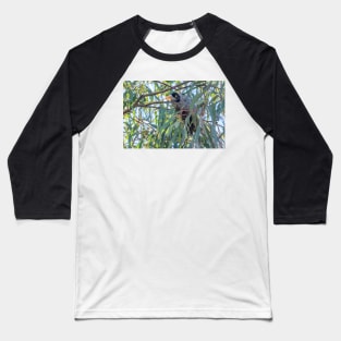 Noisy Miner 01 Baseball T-Shirt